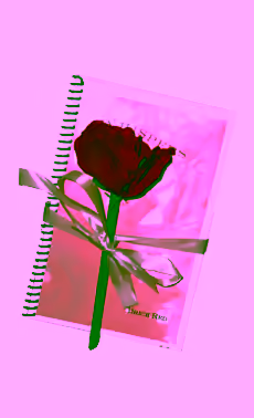 Journal with Rose Pen
