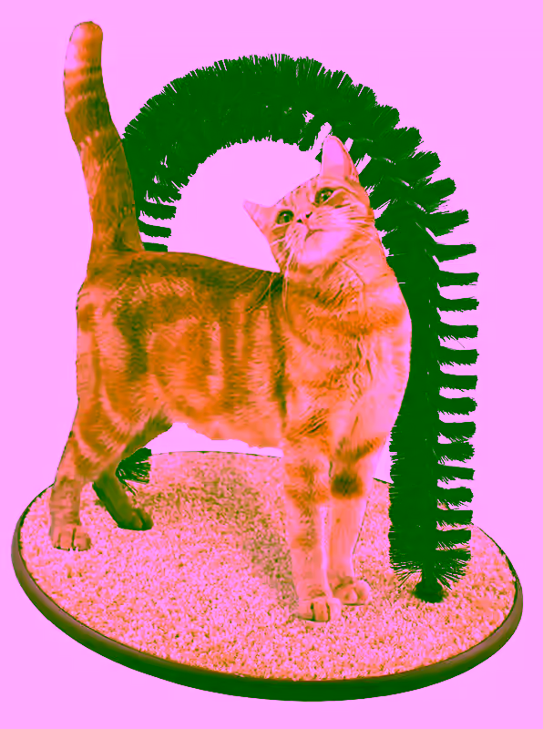 Perfect Cat Self Scratching And Grooming Arch