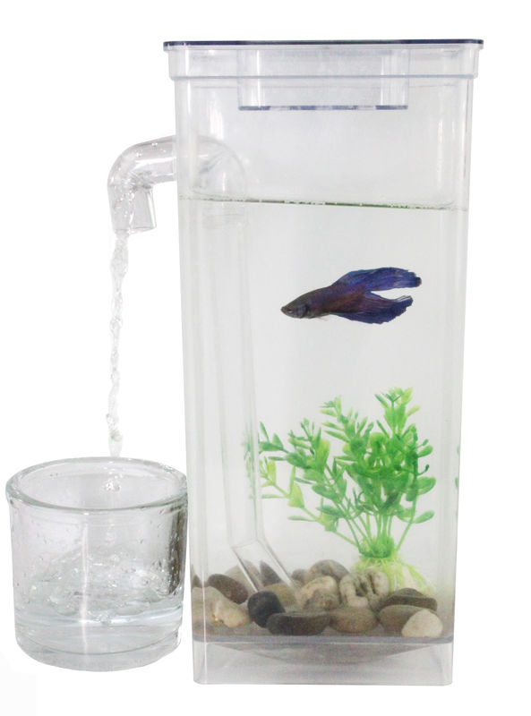 Shop Self Cleaning Fish Aquariums