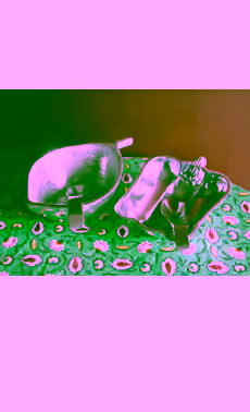 Lemon Bowl & Bellpepper Bowl