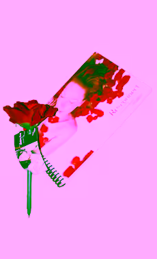 Reconnect Journal with Flower Pen