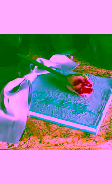 Dreams Journal with Flower Pen