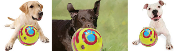 Wiggly Wag Wobble Ball - Large