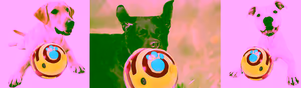 Wiggly Wag Wobble Ball - Large