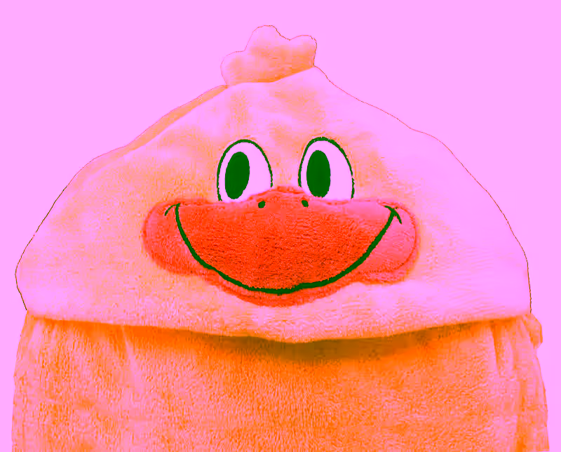 Glow Eyes Animal Fleece Blanket - Duck