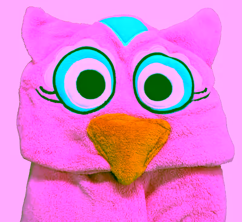 Glow Eyes Animal Fleece Blanket - Owl