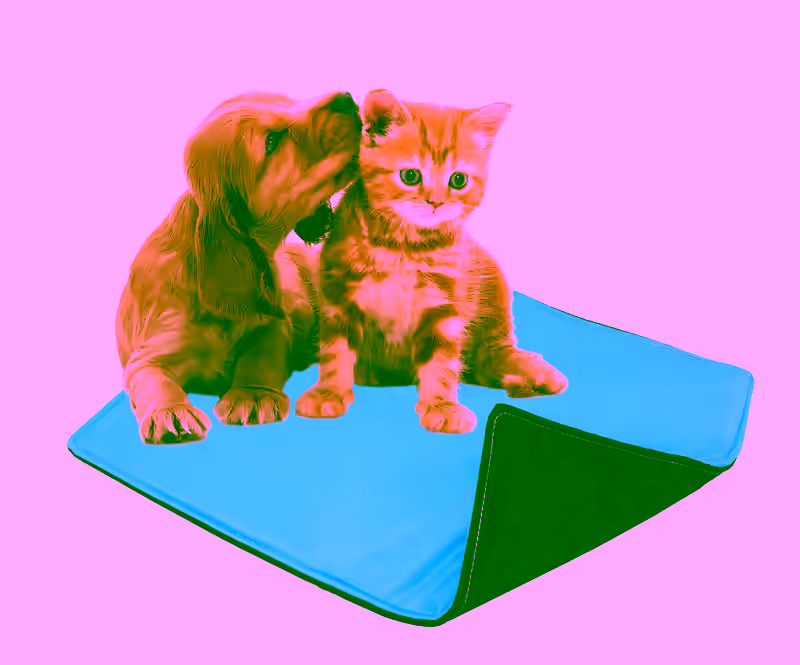 Washable Absorbent Pet Pee Pad - Small