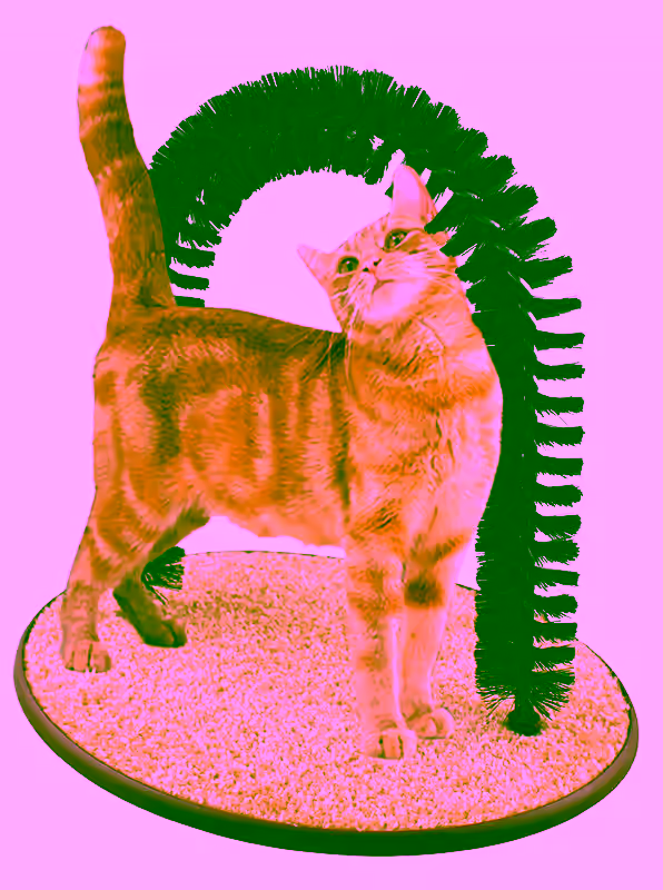 Perfect Cat Self Grooming Arch Post & Toy with Bristle and Catnip For Scratching, Brushing, and Massaging - Cat Grooming Arch