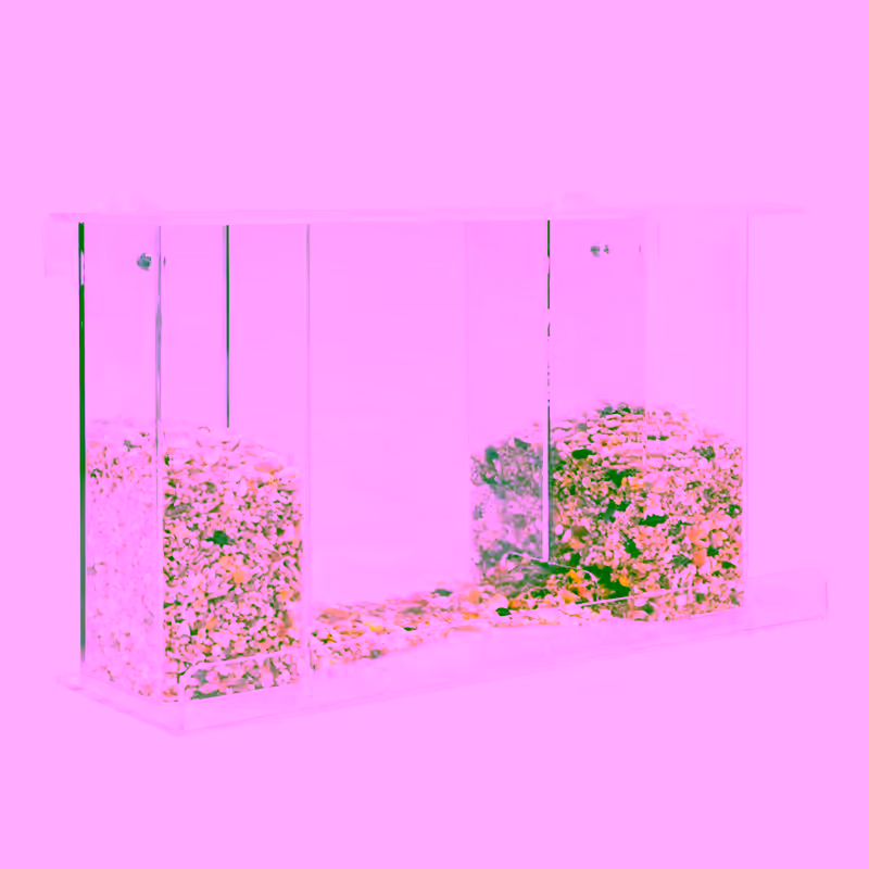 2 Tube Window Suction Cup Bird Feeder - Clear, Removable Top