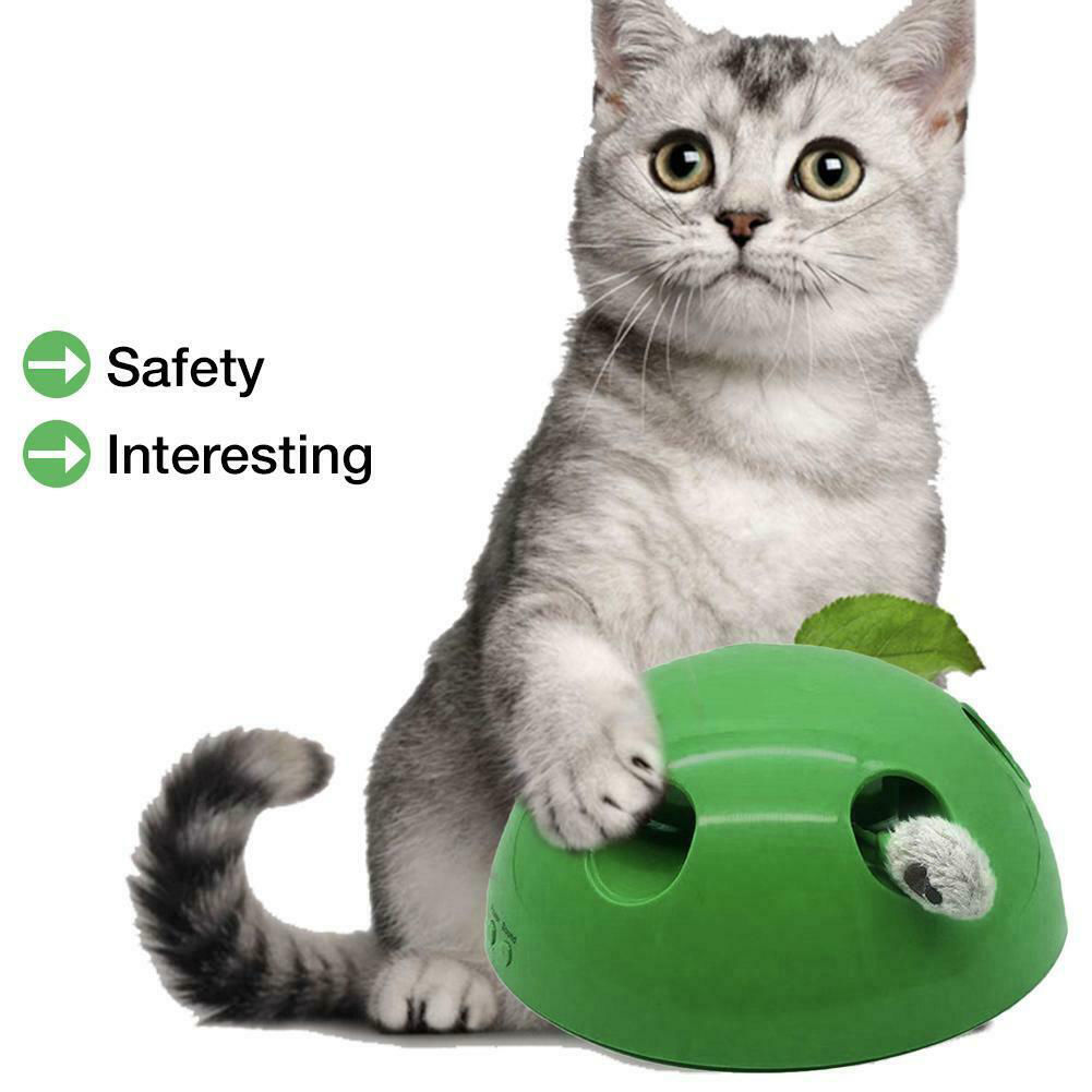 cat peekaboo toy