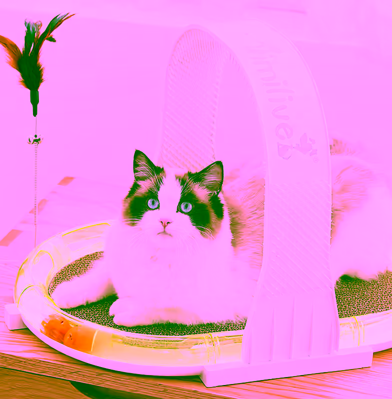 Ultimate Cat Turbo Ball Exercise Scratching & Grooming Mat - With Cat Brushing Grooming Arch, Scratching Mat, Teaser Wand, & Squeaking Turbo Ball Chasing Toy