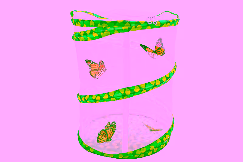 Butterfly Growing Garden Kit - Butterfly Habitat Net Cage - Collapsible Terrarium Mesh Net w/ Caterpillar n Food Voucher - 12" Tall