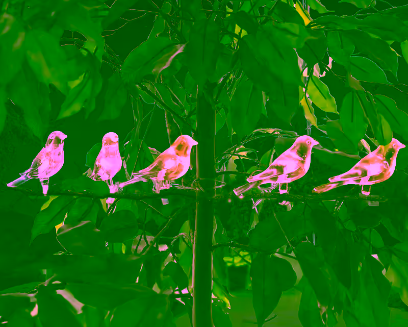 Solar LED Bird Clip On String Lights - 5PC SET - Solar Lights for Garden, Balconies, Trees, Bird Baths, Pathways & Fences - Decorative Solar Powered Bird Decor with Clip-On Feature