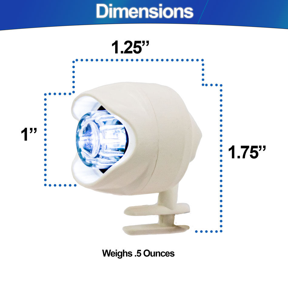 LED croc lights Dimensions