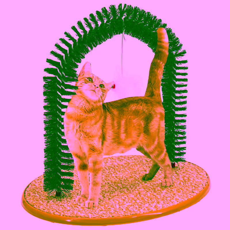 Perfect Cat Self Grooming Arch Toy & Post with Cat Mouse Toy, Bristles, Scratch Pad and Catnip - For Scratching, Brushing, and Massaging - Prevents Furniture Damage & Promotes Healthier Indoor Cats, Play, & Stress Relief.