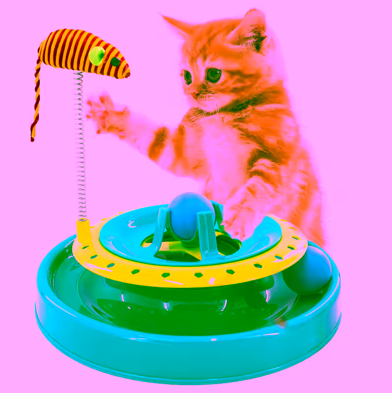 360 Interactive Cat Mouse Track Toy - Rolling Ball & Toy Spring Catnip Mouse - Cat Track Play Station for Indoor Cats, Non-Slip Base, Spring-Loaded Mouse