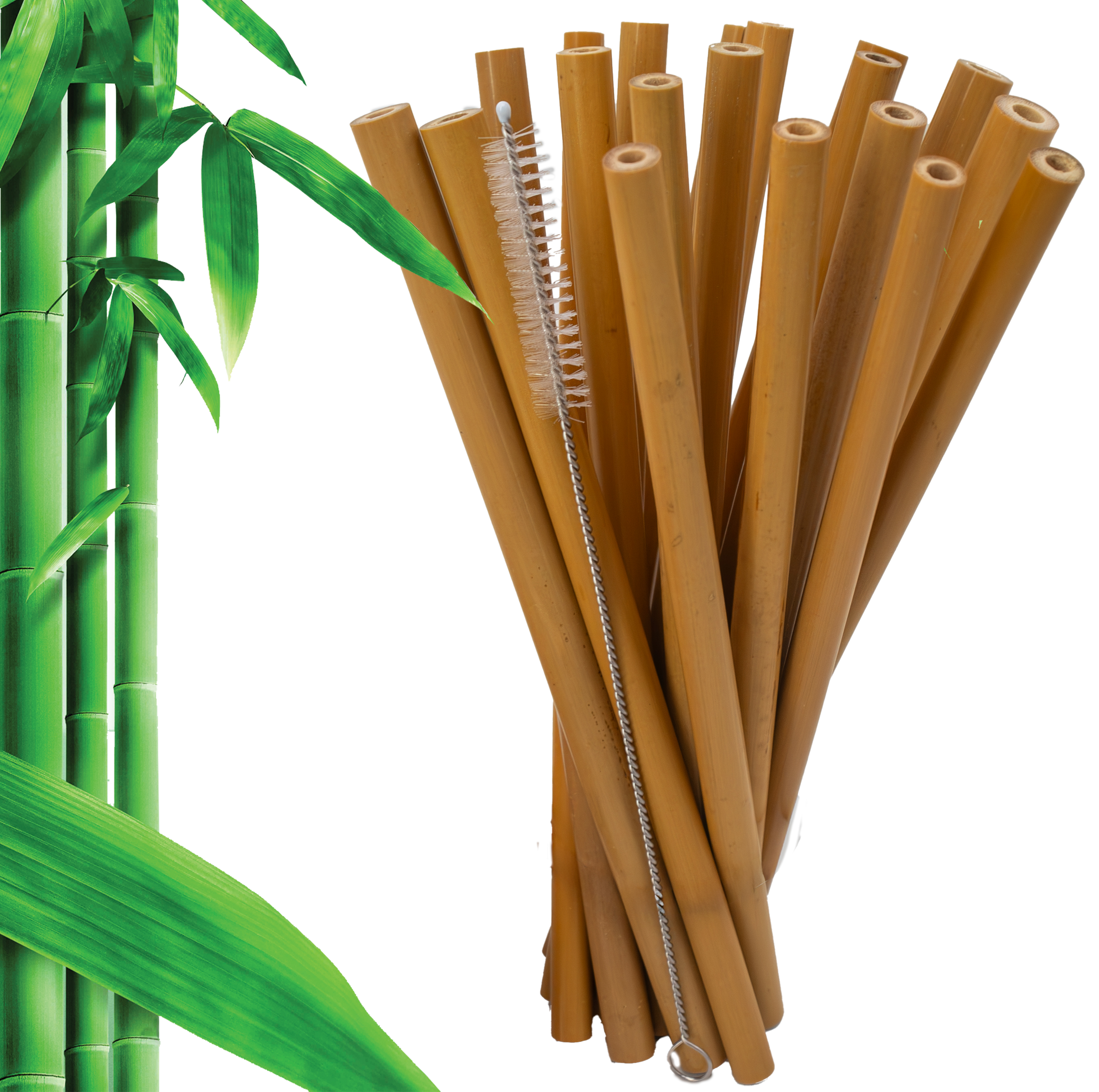 Biodegradable Bamboo Straws 10pc Set with Cleaning Brush – Eco-Friendly, Reusable, Compostable, and Plastic-Free Drinking Straw