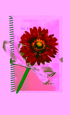 Journal with Daisy Pen