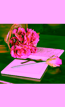 Pink Rose Pen Bouquet