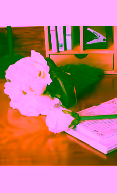 White Rose Pen Bouquet