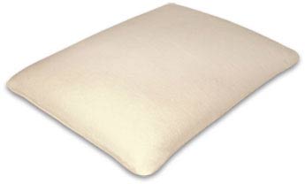 Cushion Micro Memory Foam Pillow