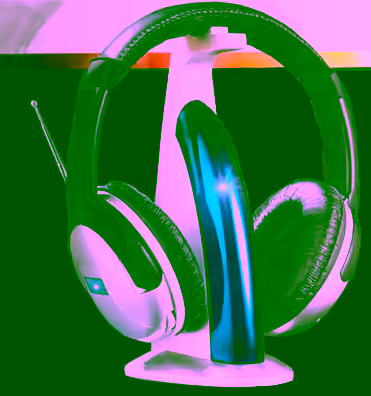 FM Radio Headset H552