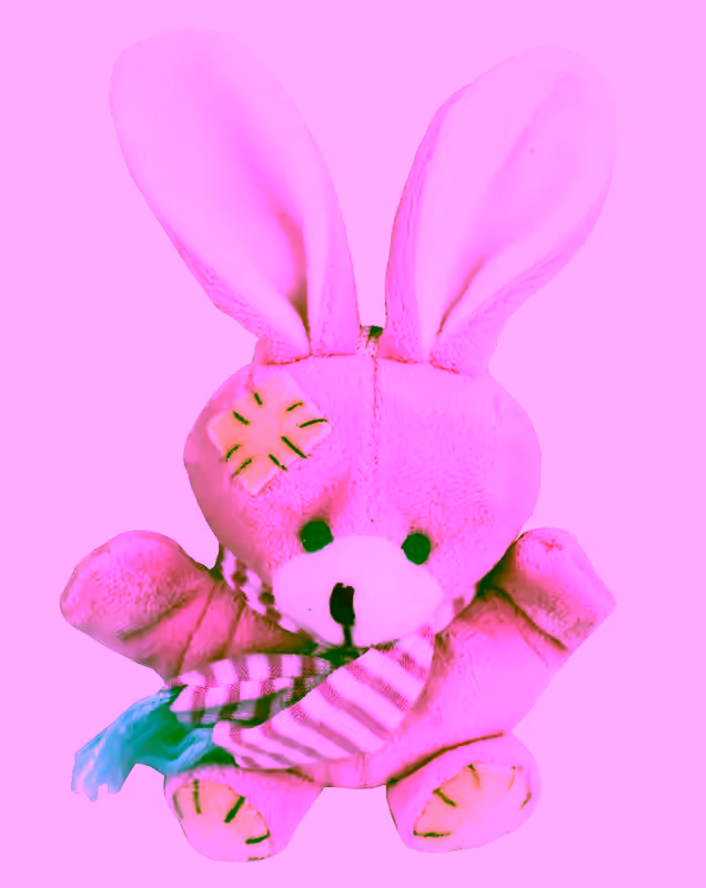 5"" Bunny Pink Recordable