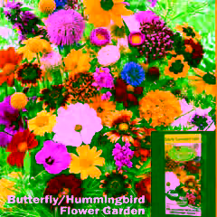 Grow & Roll - 10ft Deluxe Set