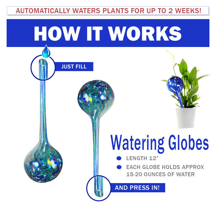 Aqua Plant Watering Globes - Automatic Self Watering Plant Glass Ball Bulbs  - Indoor Or Outdoor Use - 4pc Large & 4pc Small - Newegg.com