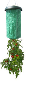 Vertical Grow Bag